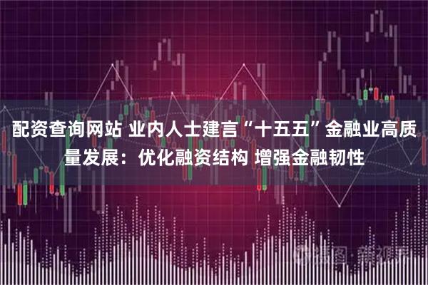 配资查询网站 业内人士建言“十五五”金融业高质量发展：优化融资结构 增强金融韧性