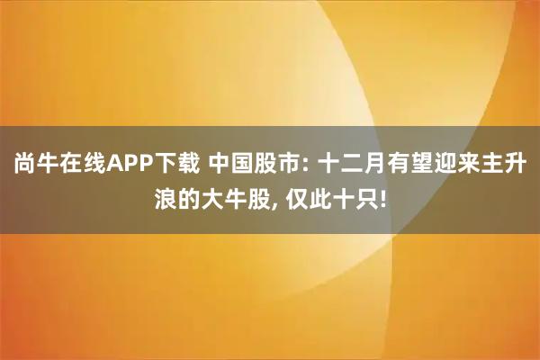 尚牛在线APP下载 中国股市: 十二月有望迎来主升浪的大牛股, 仅此十只!