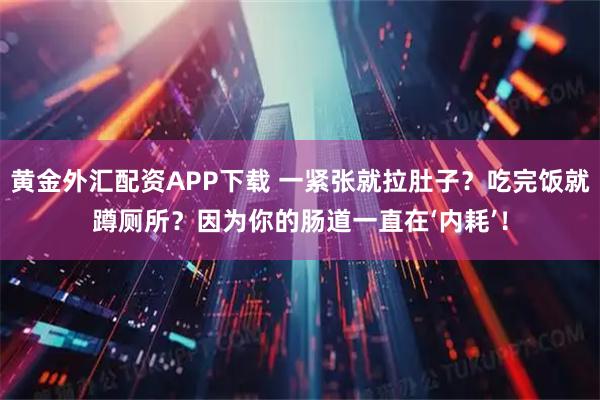 黄金外汇配资APP下载 一紧张就拉肚子？吃完饭就蹲厕所？因为你的肠道一直在‘内耗’！