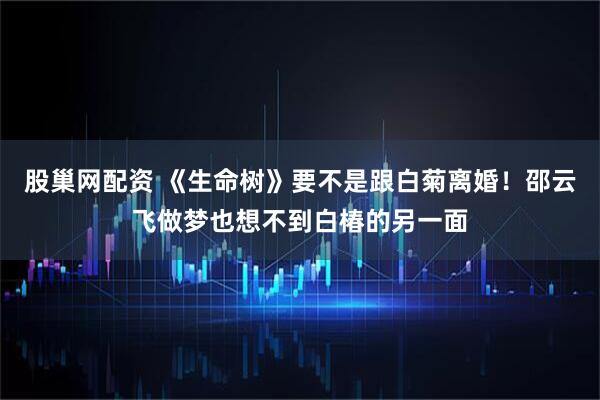 股巢网配资 《生命树》要不是跟白菊离婚！邵云飞做梦也想不到白椿的另一面